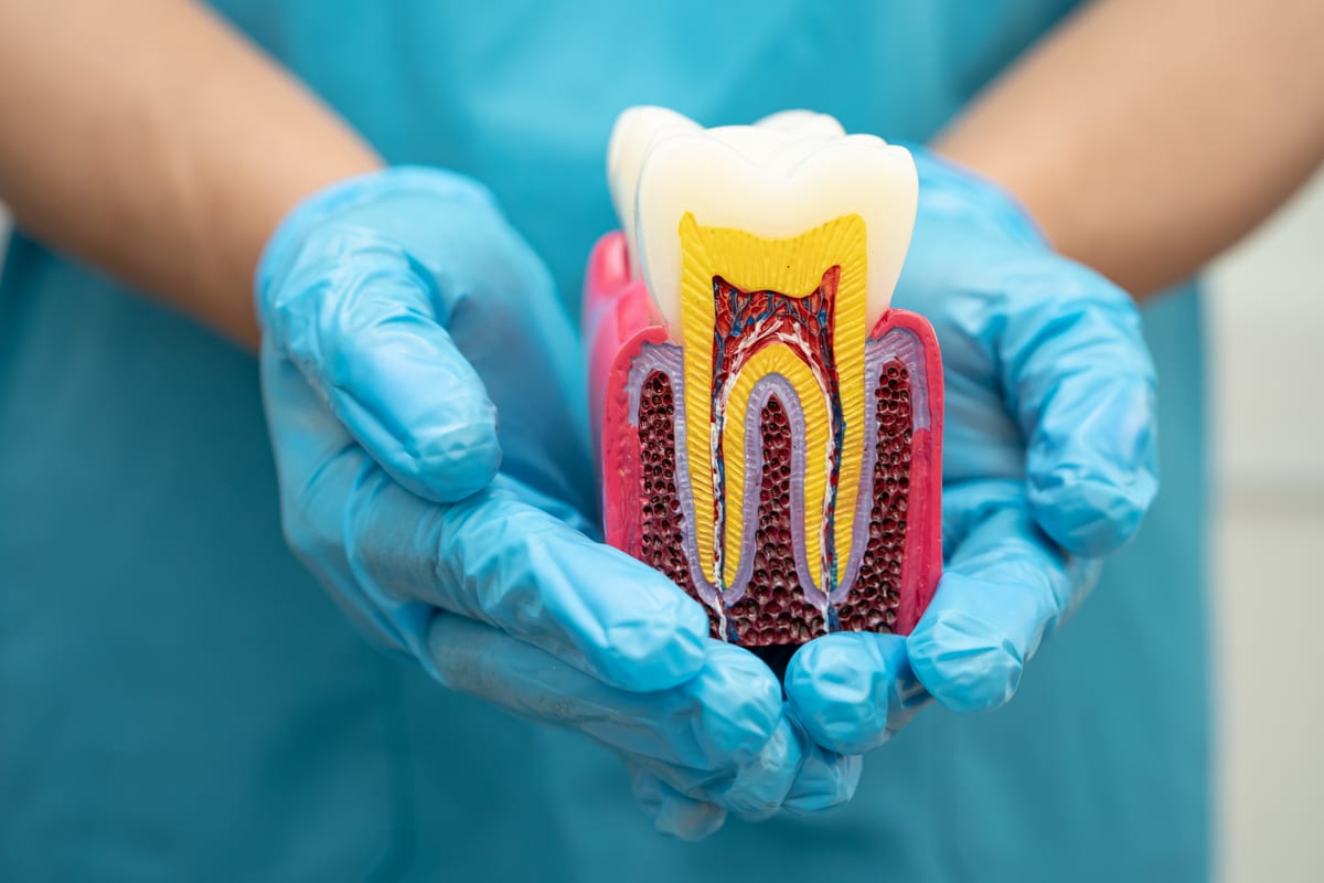 Back-to-School Dental Checkups in Renton, WA – Summer 2026